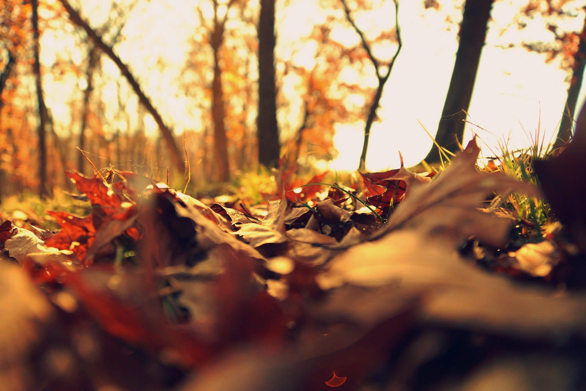 Fall Harvest is a Call for Farm Safety