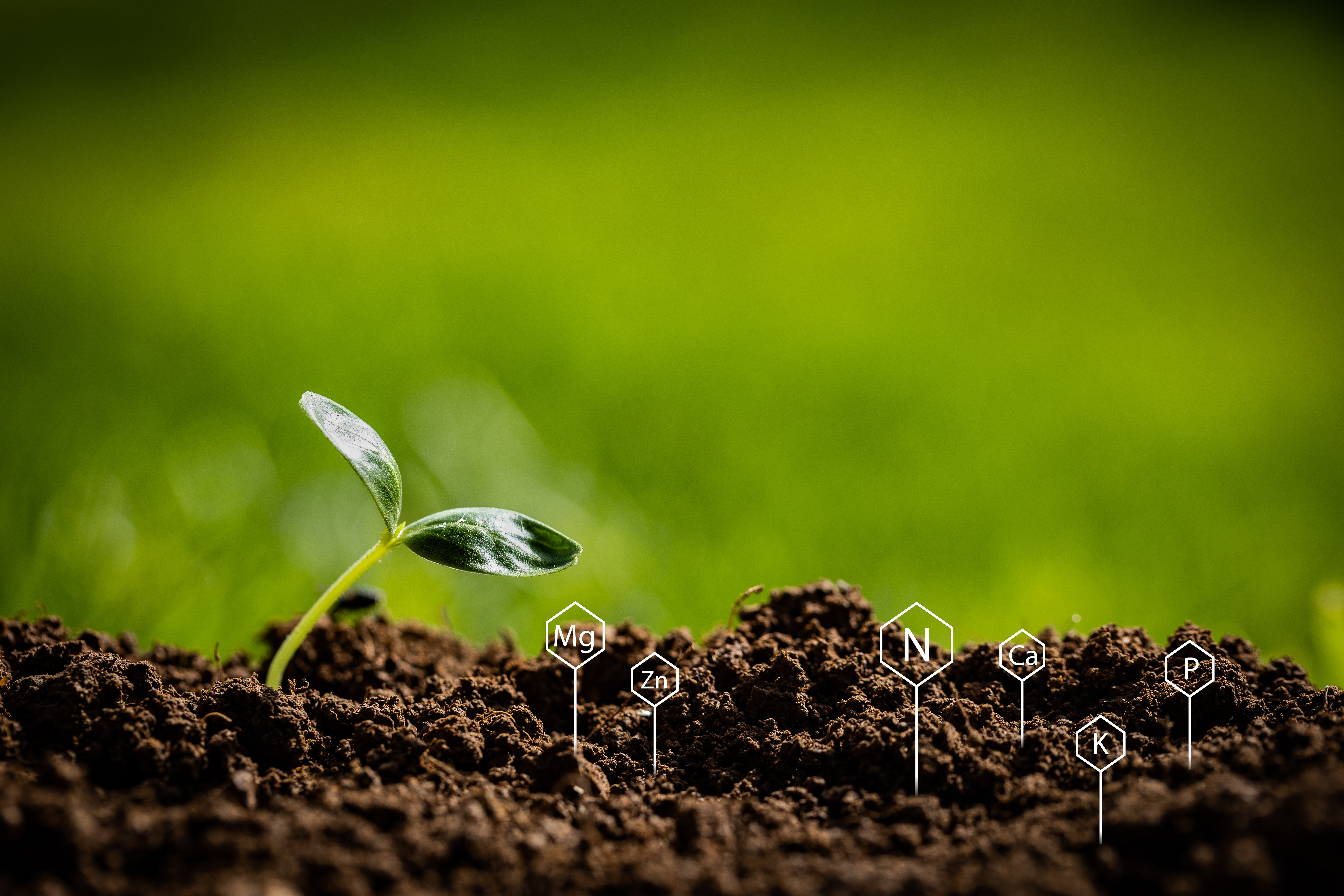 Soil Testing